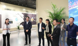 91b站直播苏州市,苏州市魅力风采尽收眼底