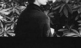 日本h视频,独特文化视角下的成人娱乐产业探秘